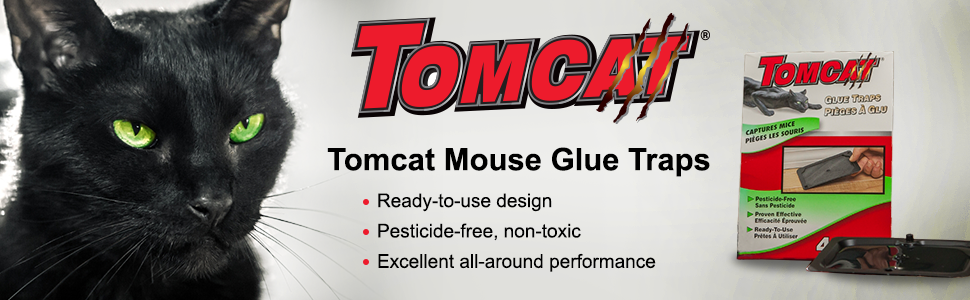 tomcat rat trap instructions