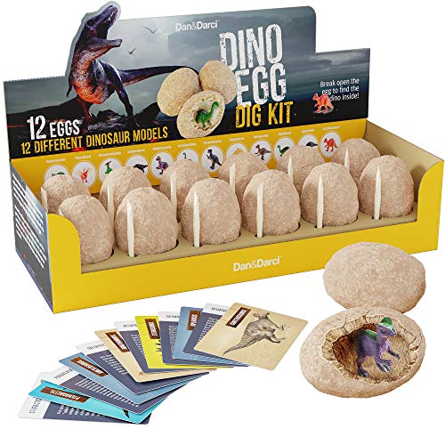growing dinosaur egg instructions